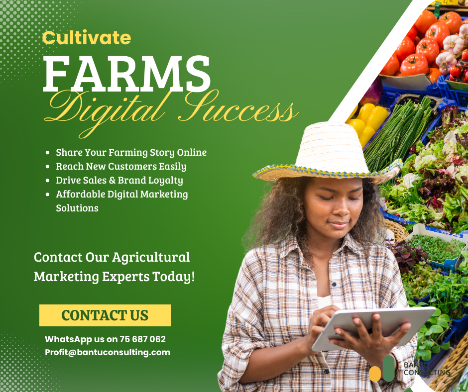 Cultivating Success: How to Leverage Social Media and Digital Marketing ...